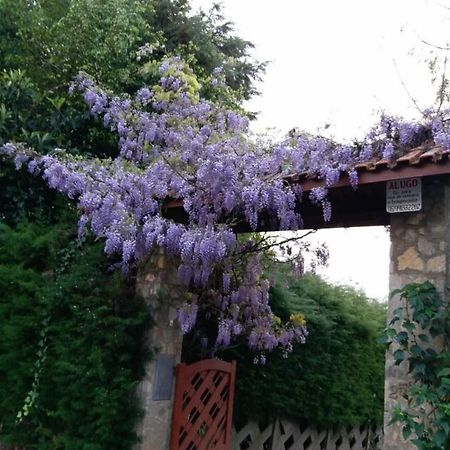 Casa Das Glicinias Perto Do Centro Βίλα Monte Verde  Εξωτερικό φωτογραφία