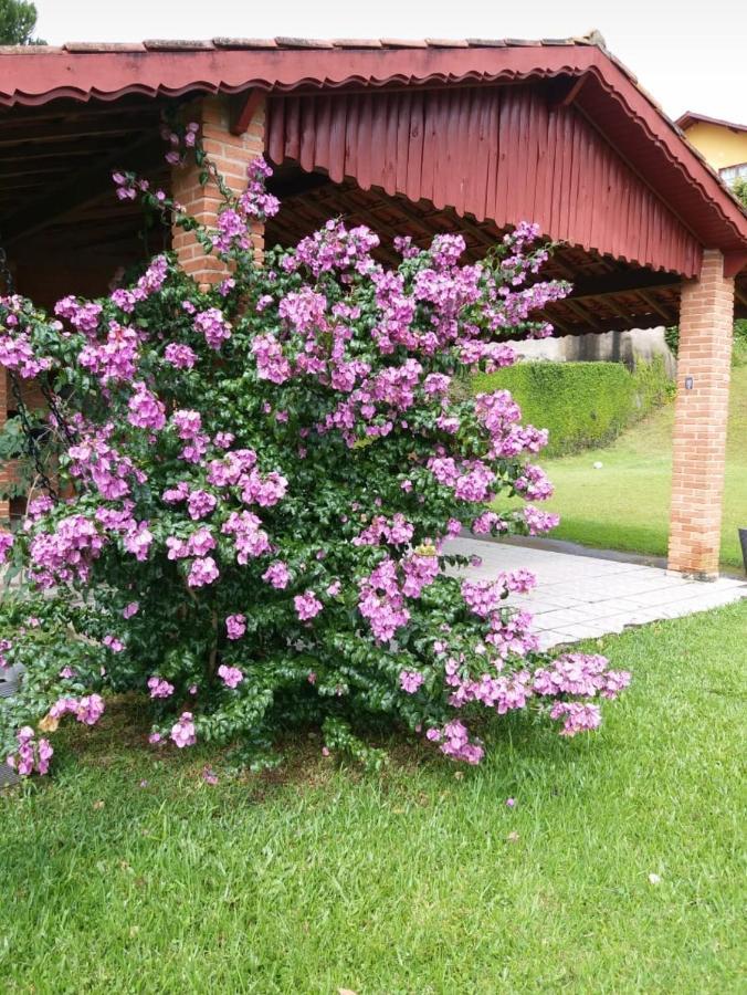 Casa Das Glicinias Perto Do Centro Βίλα Monte Verde  Εξωτερικό φωτογραφία