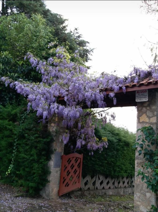 Casa Das Glicinias Perto Do Centro Βίλα Monte Verde  Εξωτερικό φωτογραφία